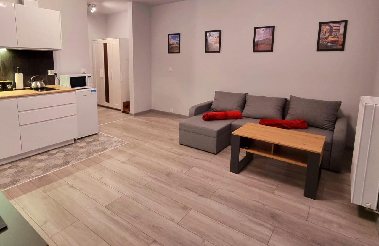 Apartament Kopernika 49 Łódź Esterno foto